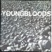 YOUNGBLOODS Rock Festival (	Warner Bros. Records – WS 1878) USA 1970 LP (Blues Rock)